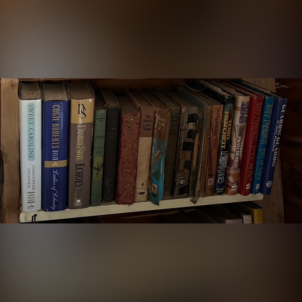 5 lbs books - you pick - mix of genres - some large print - novels, biographies - Picture 14 of 16